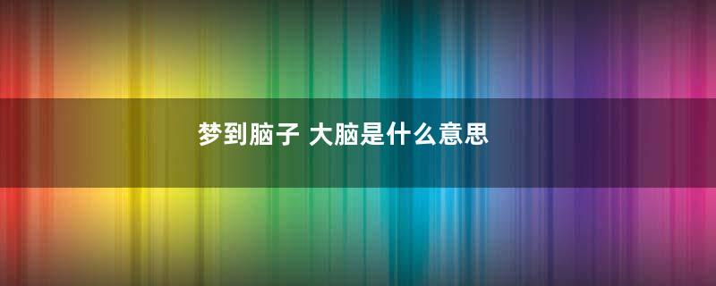 梦到脑子 大脑是什么意思